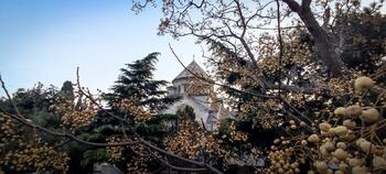 Армяне Крыма отметили праздник Терендез в храме Сурб Рипсиме IMG_20220213_180732